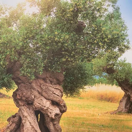 Casa Tua * Carovigno